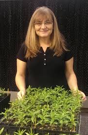Clemson University geneticist Ksenija Gasic